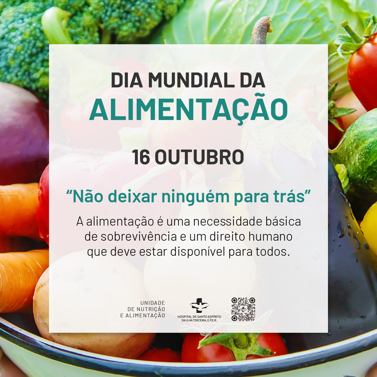 alimentacao