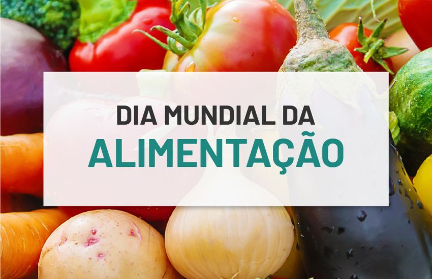 alimentação