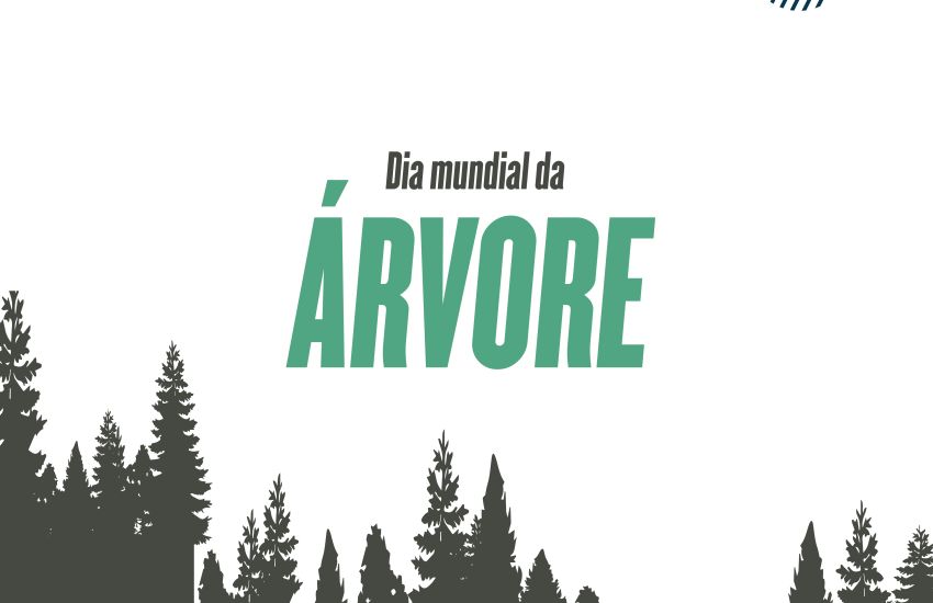 arvore